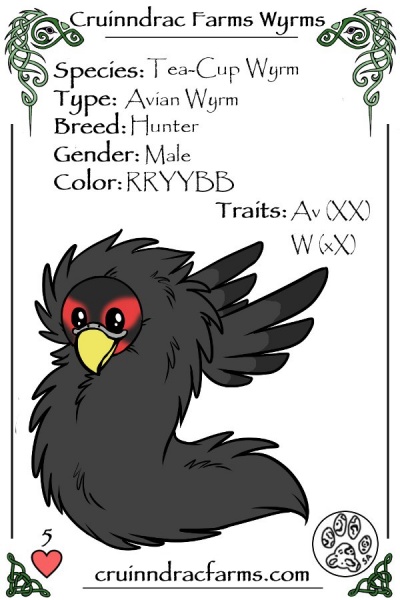 File:Brewer card.jpg