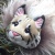 Lady Lynx icon.jpg
