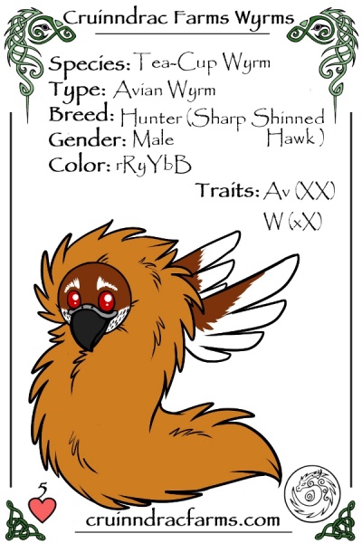 File:Watcher card.jpg