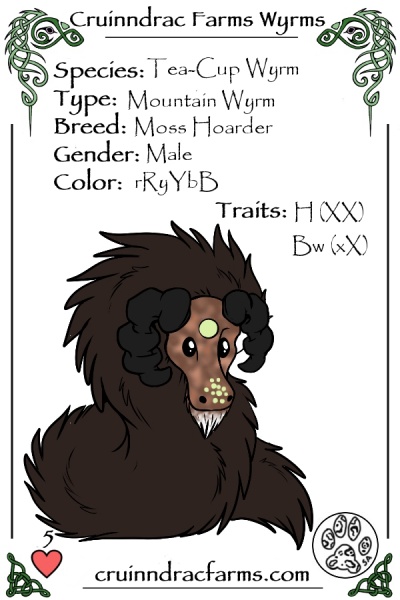 File:Chocolate Moss card.jpg