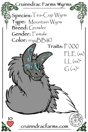 Jackdaw card.png