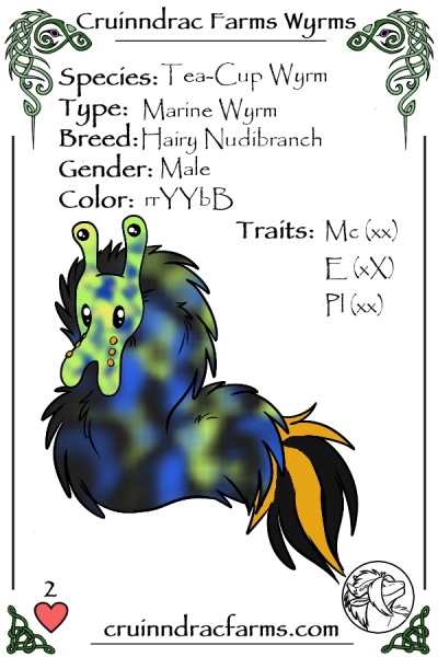 File:Meridian Dance card.jpg