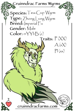 Kyoto card.jpg