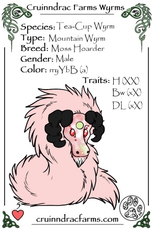 Flamingo card.jpg