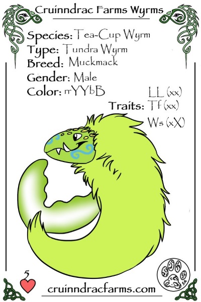 File:The Dood card.jpg