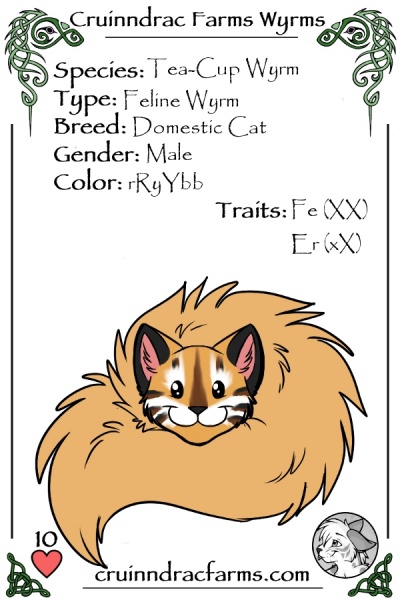 File:Chester card.jpg