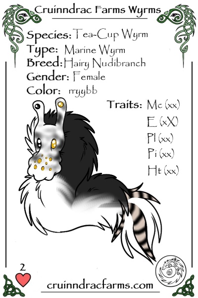 File:Wibble card.jpg