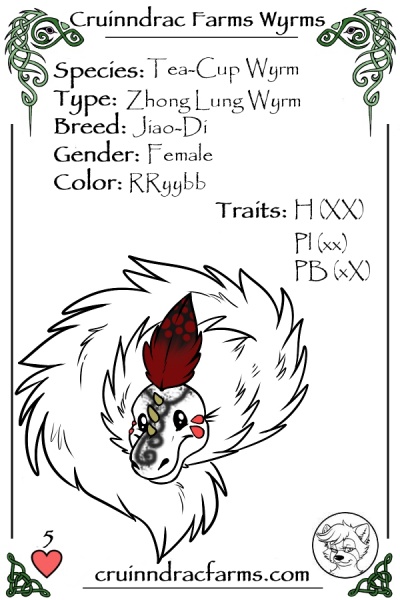 File:Burlesque card.jpg