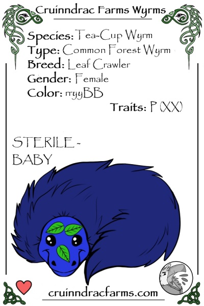 File:Blueberry Bloom card.jpg