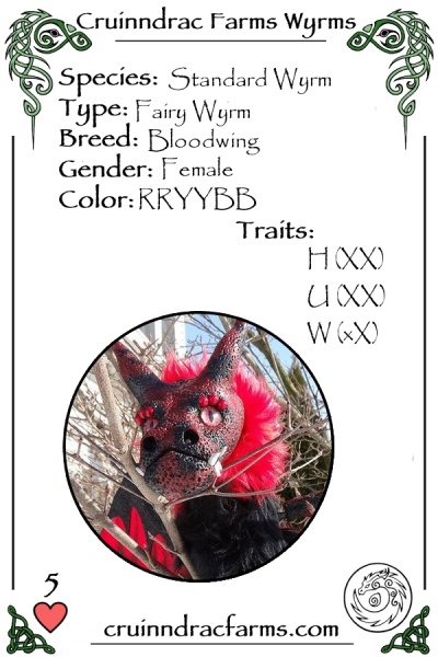 File:Demona card.jpg