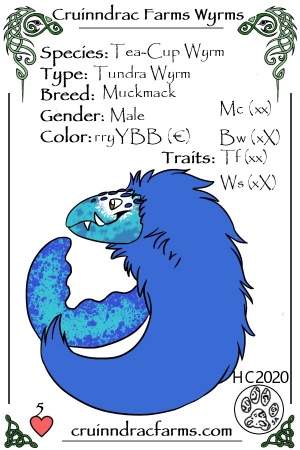 Pyry card.jpg