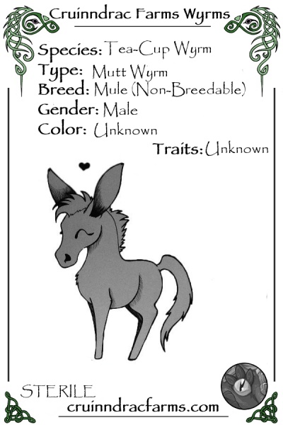 File:Squiggles card.jpg