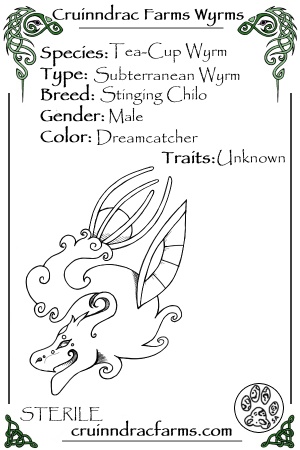 Light Bringer card.jpg