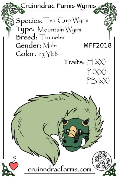 File:Temmoko card.jpg