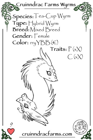 Gusty's Liesl card.jpg