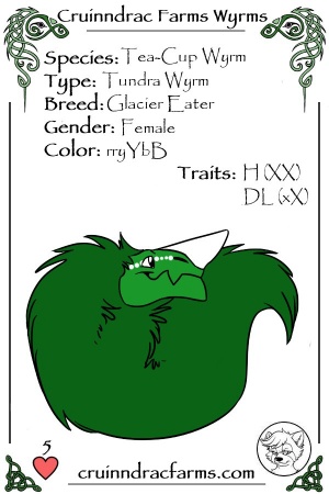 Spearmint card.jpg