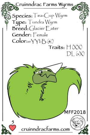 Glacie card.jpg