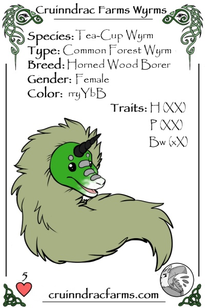 File:Lithop card.jpg