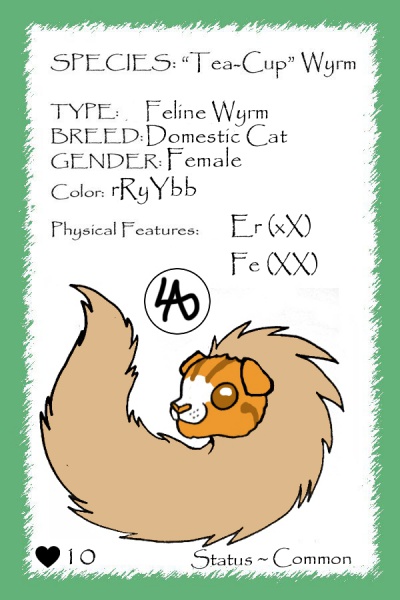 File:Munchkin card.jpg