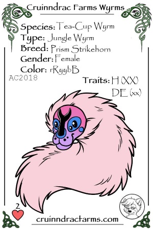 Princess Prismacolor card.jpg