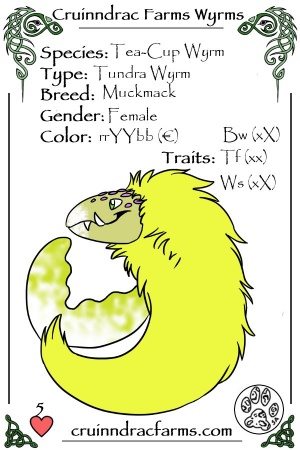 Yuzu card.jpg