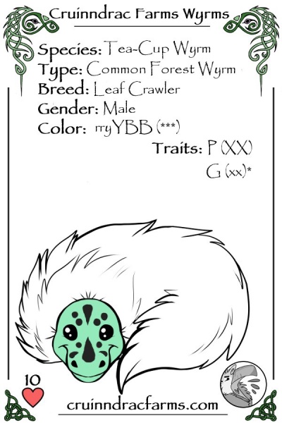 File:Lampie card.jpg