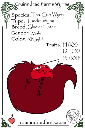 Candystriper card.jpg