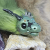 JD icon.png