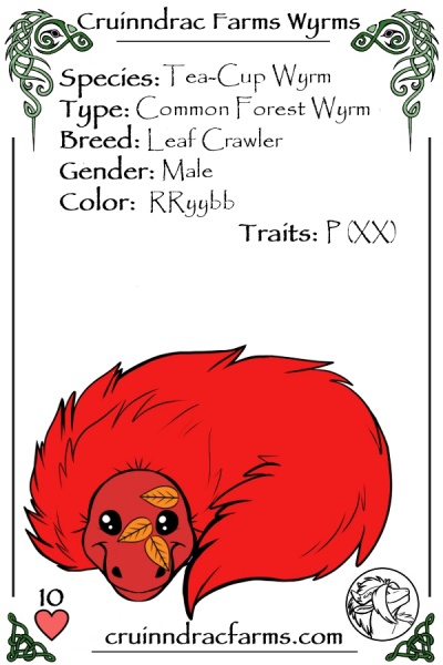 File:Zeddicus card.jpg