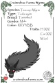 Thumbnail for version as of 04:50, 13 July 2018
