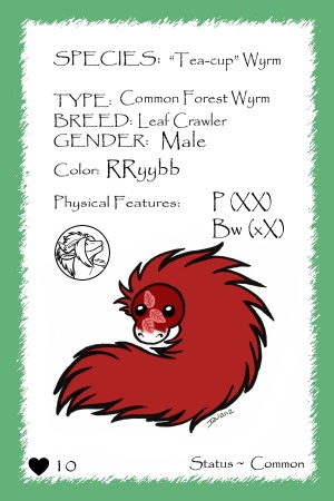 Tomato Soup card.jpg