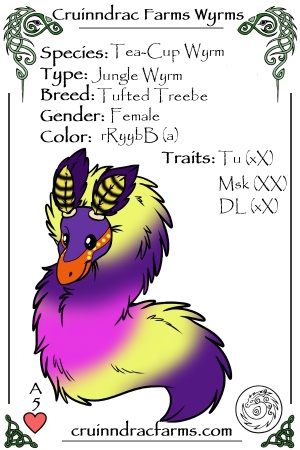 Willow card.jpg