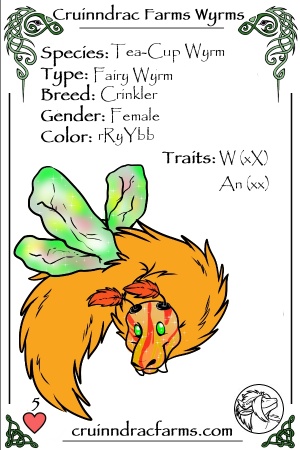 Jolokia card.jpg