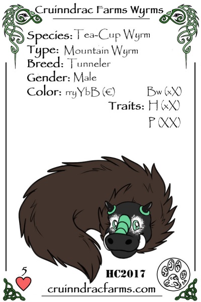 File:Sparerib card.jpg