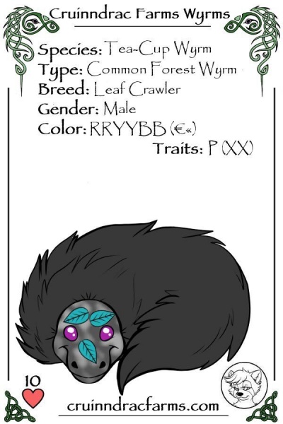 File:Vortex card.jpg