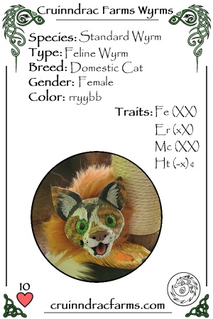 Celestial Rainbow card.jpg