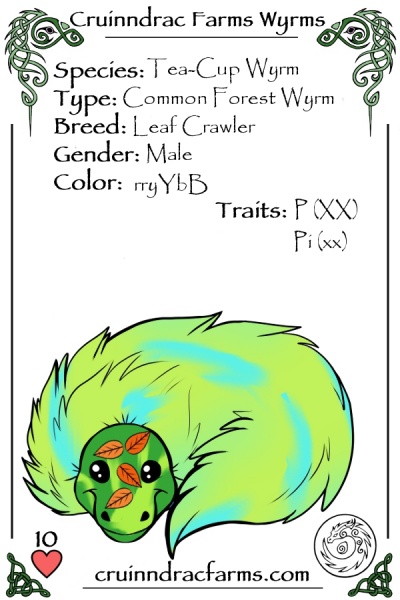 File:Clover card.jpg