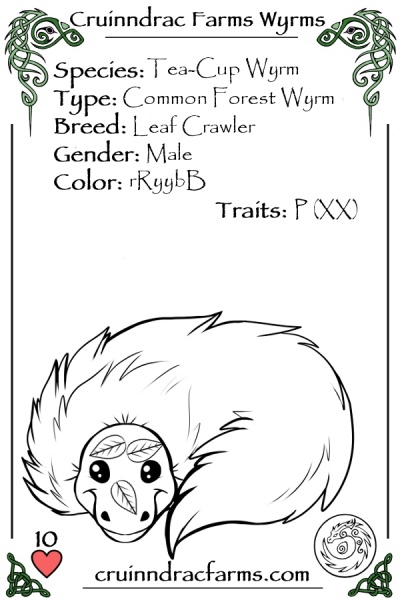 File:Concord card.jpg