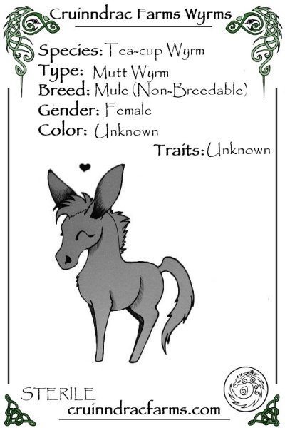 File:Severine card.jpg