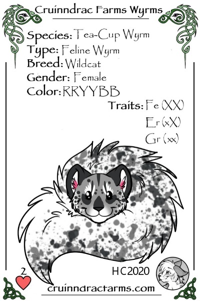 File:Mini Wheat card.jpg