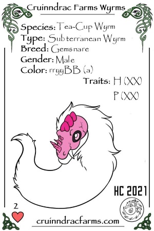 Albie Jam card.jpg
