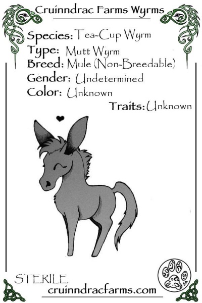 File:Brutus card.jpg