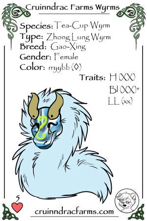 Chrysopal Aura card.jpg