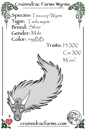 Renegade card.jpg