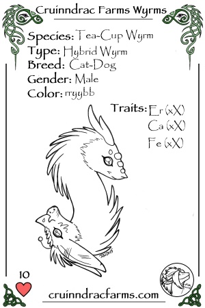CatDog card.jpg