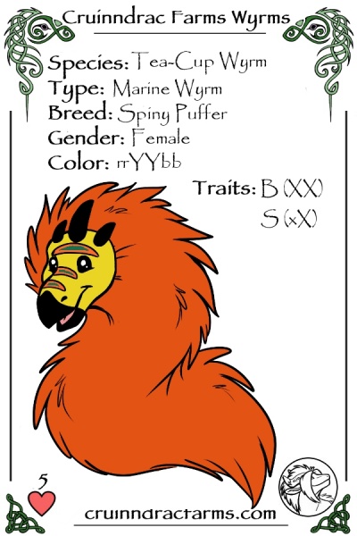 File:DaisyDuke card.jpg