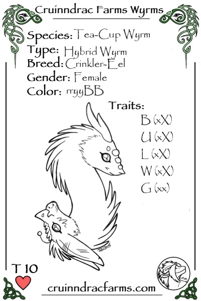 File:Chandra card.jpg