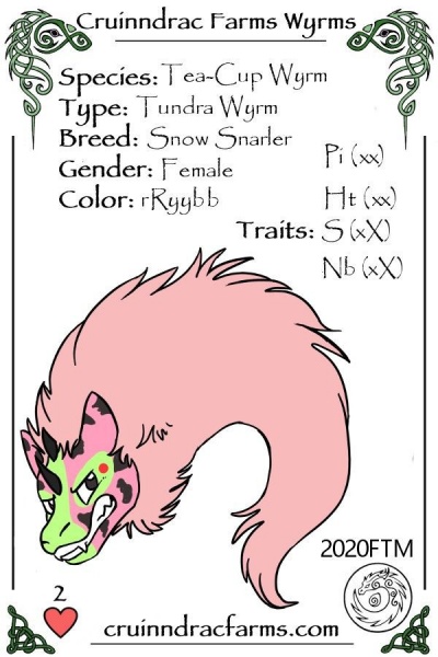 File:Yawnef card.jpg